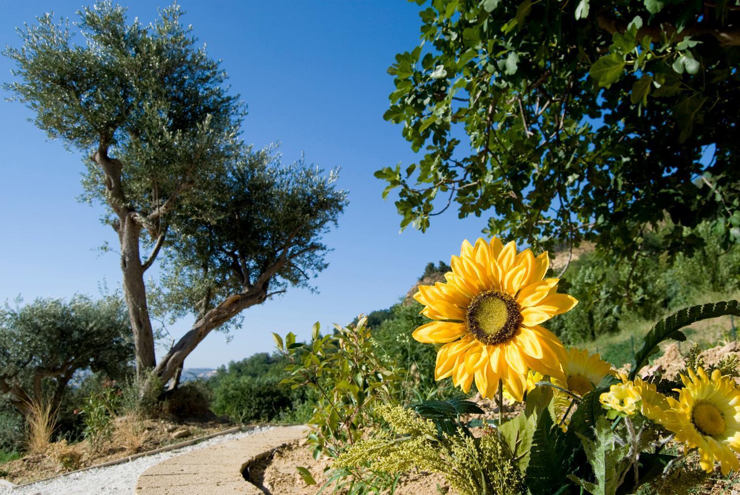 Il Falco Vakantieboerderij