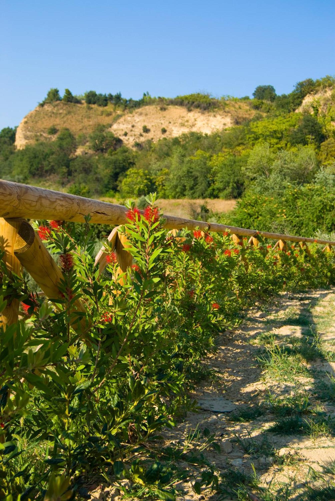Il Falco Vakantieboerderij